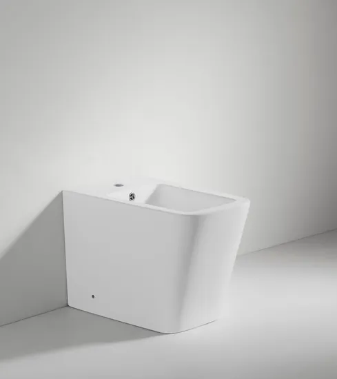 Unique Design Ceramic Wc Toilet Bidet for Bathroom (BC