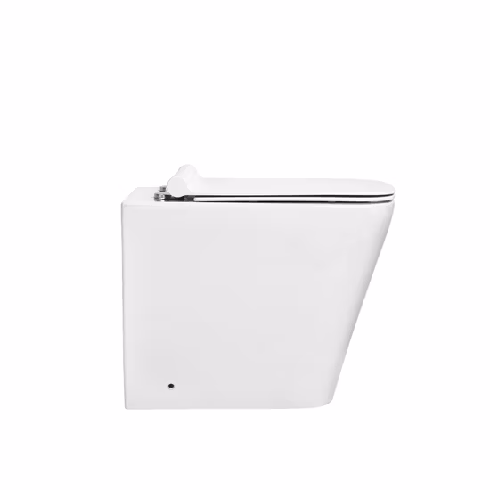 Economical Hotel Bathroom Sanitary Ware Bidet Washdown Water Closet Toilet